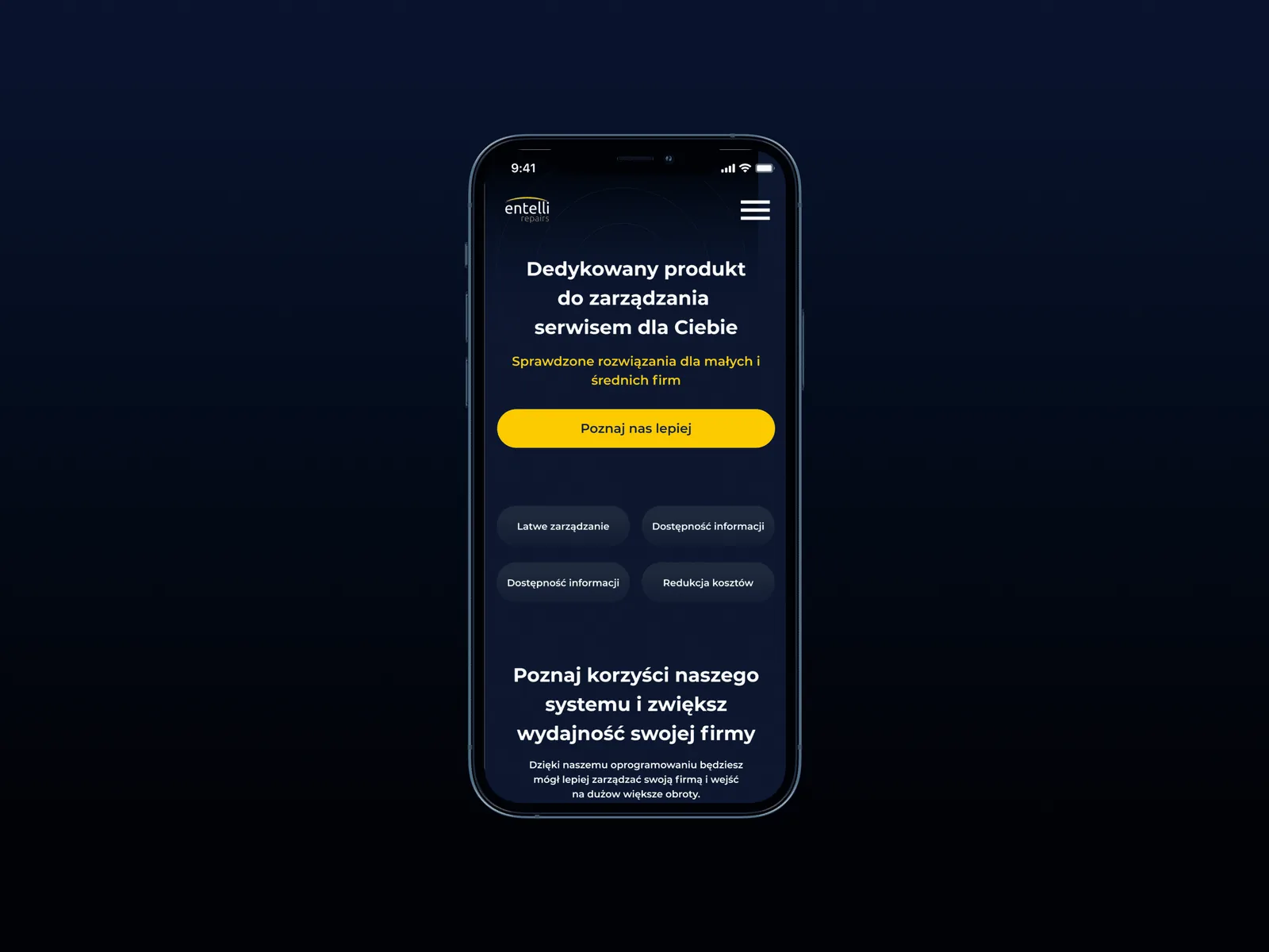 Single phone mockup of a landing page with feature chips